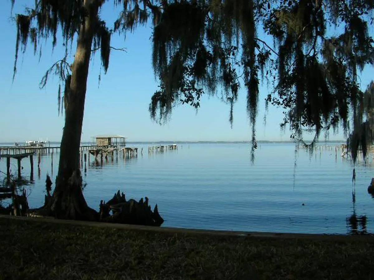 Fruit Cove Florida Real Estate